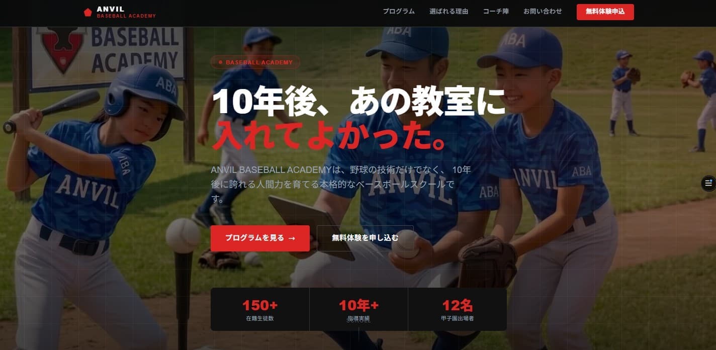 ANVIL BASEBALL ACADEMY